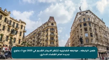 طعن الرابطة.. مواجهة قضائية تنتظر الإيجار القديم في 2025 مع 3 دعاوى جديدة أمام القضاء الإداري.